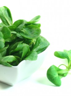 la-viande-reduirait-l-esperance-de-vie-maladies-vegetarisme-0113230